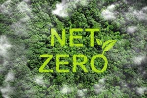 Aerial image of tree canopy, with the words “net zero” superimposed. Image: 